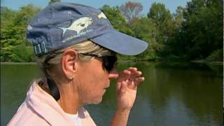 TN Wild Side-Jett Williams