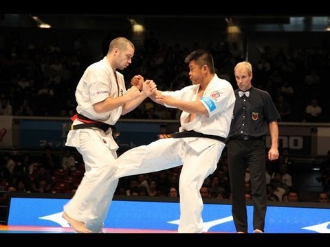 【新極真会】第10回全世界空手道選手権大会 男子4回戦 15 SHINKYOKUSHINKAI KARATE