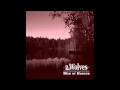 2 Wolves - Of Painful Days 