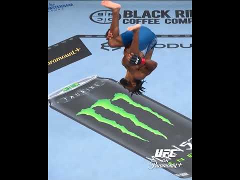 UFC video artwork