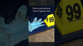 Crime scene photos of the gypsy rose case #scary #horror #gypsyroseblanchardcase #gypsyrose #morbid
