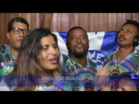 Samba 04 Beija Flor de Nilópolis Carnaval 2017