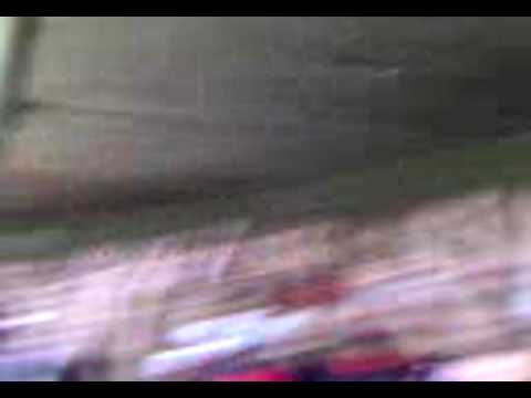 Torcida do Flamengo no Cruzeiro x Flamengo - Mineirão - brasileirão de 2008