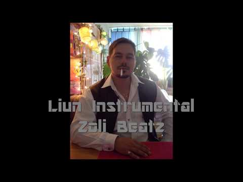 24. Liun Instrumental / Zoli Beatz - Oldschool Rap Instrumental (Nr. 207 / 94 BPM)