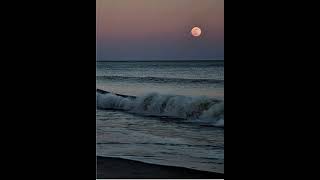 Ty Dolla $ign - Paranoid ft. B.o.B (SLOWED)