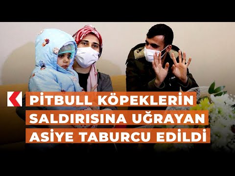 Pitbull köpeklerin saldırısına uğrayan Asiye taburcu edildi