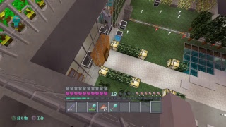 マイクラひたすら整地配信