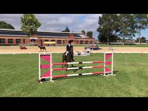 Party Boy - 2nd Show - Adelaide SA State Titles 2019