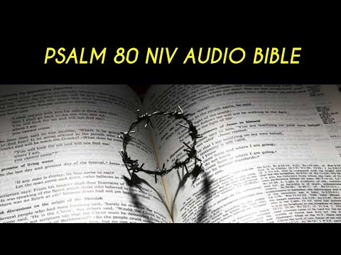 PSALM 80 NIV AUDIO BIBLE (with text)