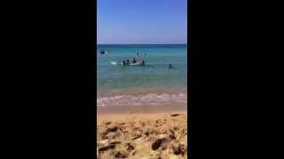 preview picture of video 'Salento spiaggia Lido Marini'