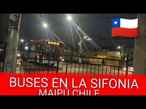 RED DE MOVILIDAD | BUSES EN LA SIFONIA (MAIPÚ CHILE)
