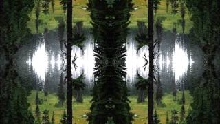 Infinity Project, The - Phosphoressence (Doors Of Perception Mix)