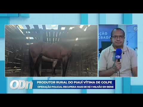 O Dia TV