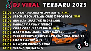 Download lagu DJ TIKTOK TERBARU 2025 🎵 DJ YALI YALI ROMANIA MELODY HABIBI 🎵 DJ STECU STECU X PICA PICA FULL ALBUM mp3
