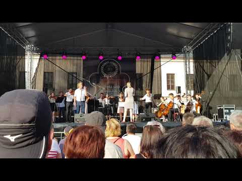 Jaromír Nohavica - Mám jizvu na rtu