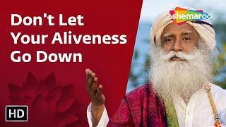 Don't Let Your Aliveness Go Down | Sadhguru | Shemaroo Spiritual Life