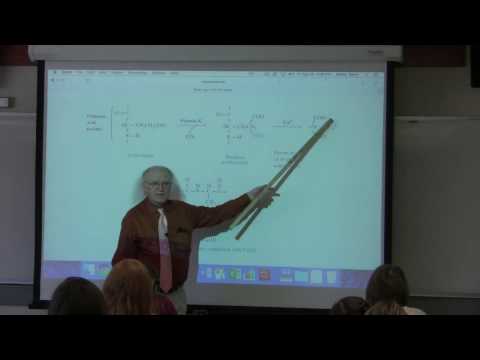 15. Ahern's BB 350 at Oregon State University - Nucleic Acids