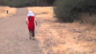 2014-08-04 Wild animals in Rancho San Antonio 3