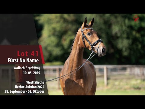 Herbst-Auktion Lot 41 Fürst No Name Wallach v. Fürst Samarant - Douceur