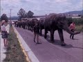The Circus Comes To Salem