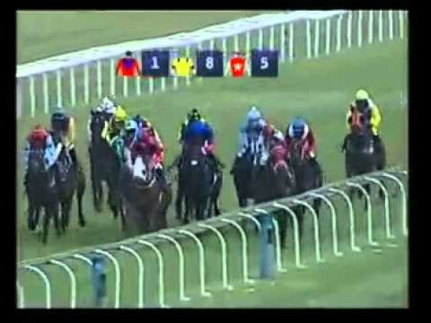 Everest - 2nd win - Racing Association