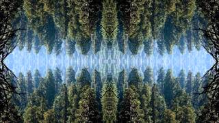 Moonweed & Squid - Sonic Shower