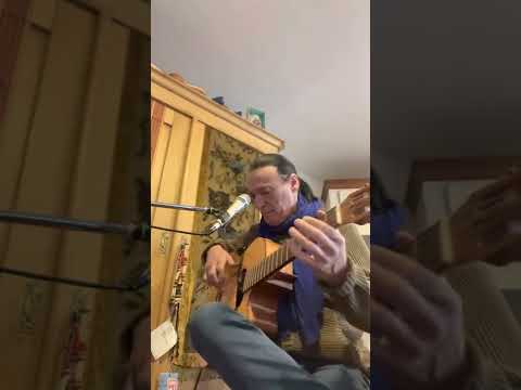 Freedom and peace ( by Lulo Reinhardt )