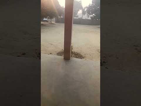 #motivation #lifeisbutadream #love #nature #food