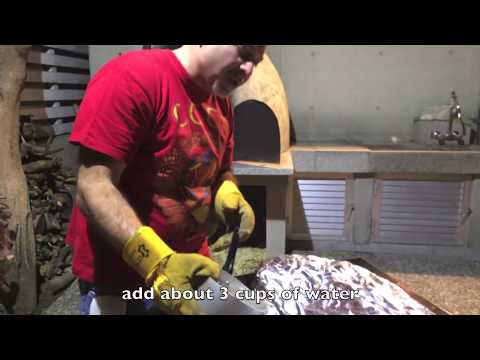 Whole lamb in brick oven with pilaf stuffing