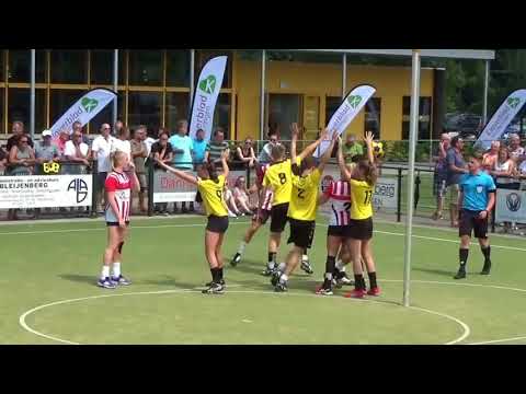 Dalto A1 Klaverblad Verzekeringen / Jumbo - Fortuna Delta Logistiek A1