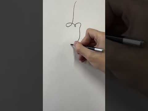 Best video every day #384