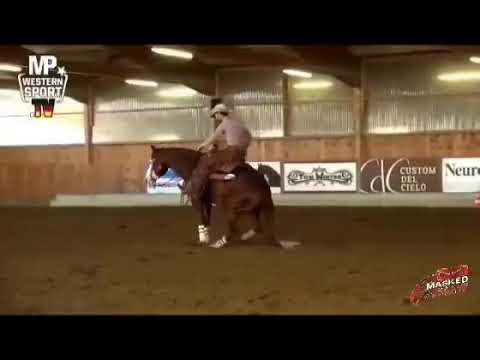 Masked Gunman Quarter Horse Breading Stallion