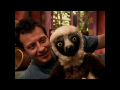 Zoboomafoo S01E11 Fierce Creatures; featuring eagles, spiders, wolves and more!