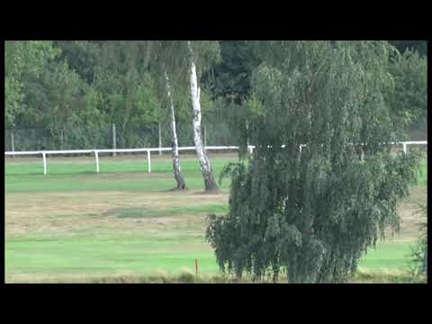 KV, 4. 8. 2019, 7. dostih - POHÁR JOSEFA VÁNI – KARLOVARSKÁ KORUNNÍ 2019