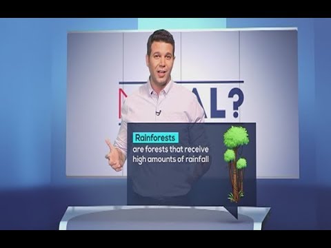 Minal - 04/01/2018 - Rainforests