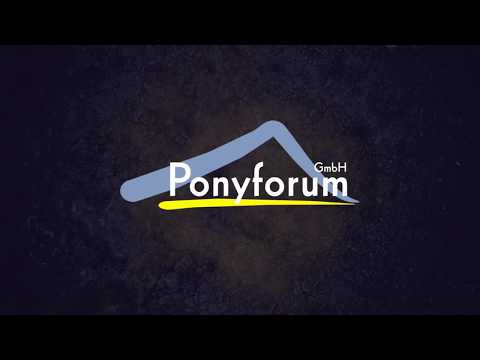 CAPTAIN JACK 4j. Fuchswallach v. Cosmopolitan D - Noir de Luxe