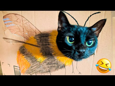 Funniest Animal Videos 2022 😁👌 - Best Funny Dogs And Cats Videos 😇 #9