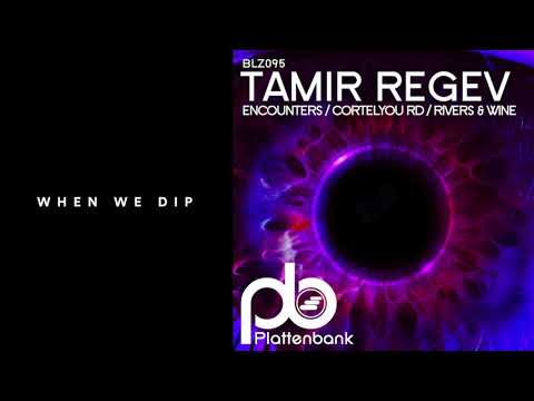Premiere: Tamir Regev - Cortelyou Rd [Plattenbank]