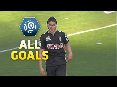Ligue 1 - Week 29 : Goals compilation - 2013/2014