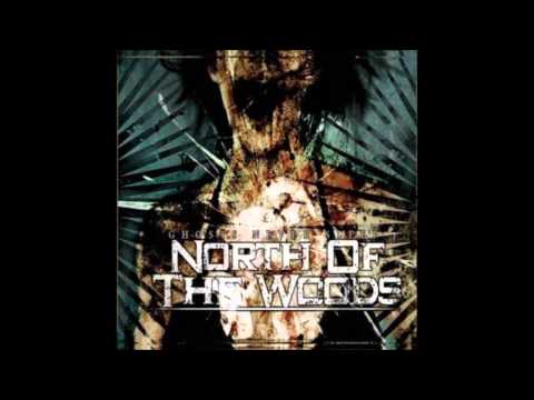 North Of The Woods-To Slaughter A Mockingbird