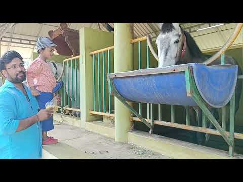 seashore farm irinjalakuda (5)