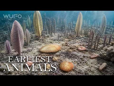 Precambrian Earth: The Mystery of the Ediacaran Creatures