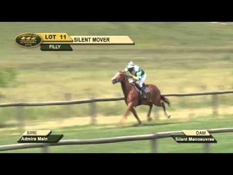 LOT 11 - SILENT MOVER (Admire Main - Silent Manoeuvre) Filly