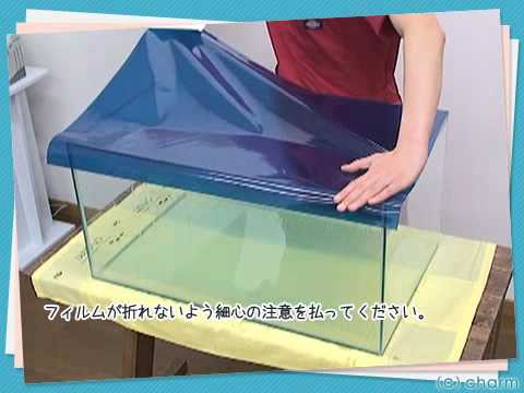 バルコニーのプライバシースクリーン - プライバシーを高めるための植物と竹のスクリーン  庭園