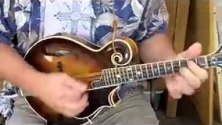 Little Liza Jane in D