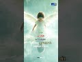 En Thaai Uruvagumunae என் கருவை கண்டீரையா AARON BALA NATHANAEL DON