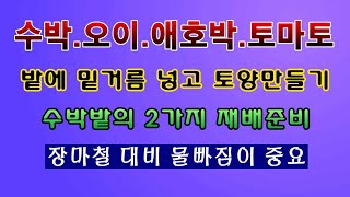 [텃밭논부 1,423]  수박. 토마토. 오이. 애호박밭에 밑거름 넣고 토양만들기.