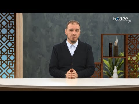 54. Zilia | Enis Rama