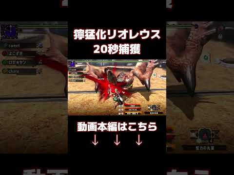 獰猛化リオレウス　20秒捕獲 #mhxx