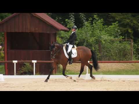 Mladší junioři 2. kolo – JU (2022) – MČR v drezuře Brno, 16. 8. 2025